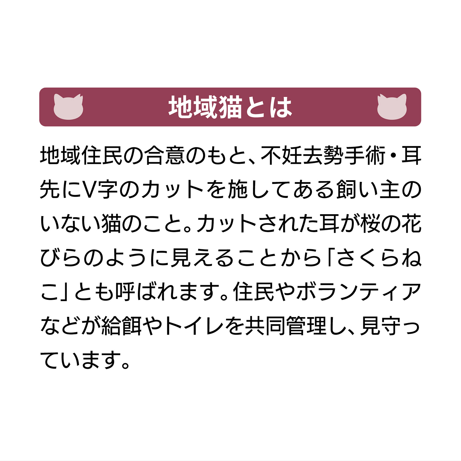 地域猫活動応援プロジェクト_2