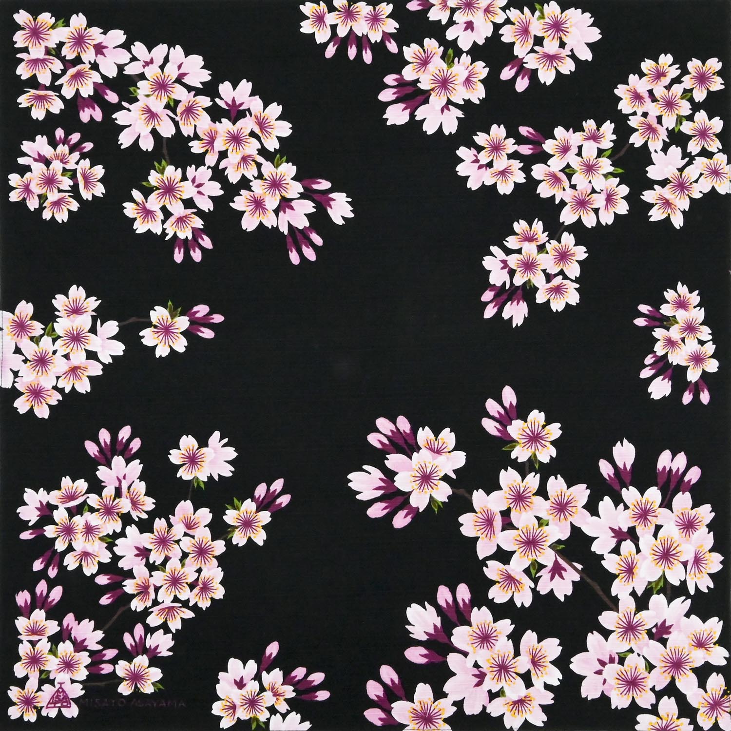 浅山美里　綿小　桜